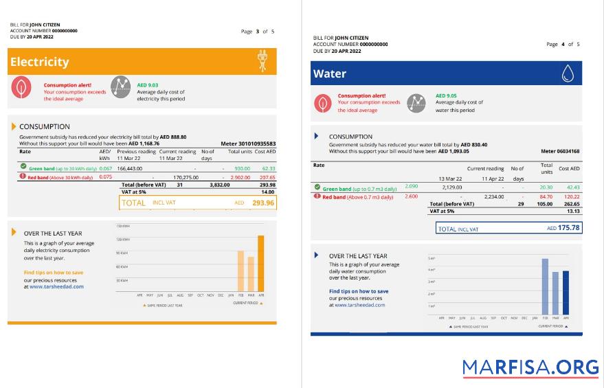 Blank UAE Dubai Al Ain Distribution Co. Word and PDF utility bill template (5 pages) .3 4